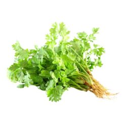 Ngò Rí Tươi Ngon 1kg - Gia Vị Bếp Việt
