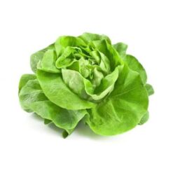 Xà Lách Búp Mỡ 1kg Tươi Ngon, Giàu Dinh Dưỡng