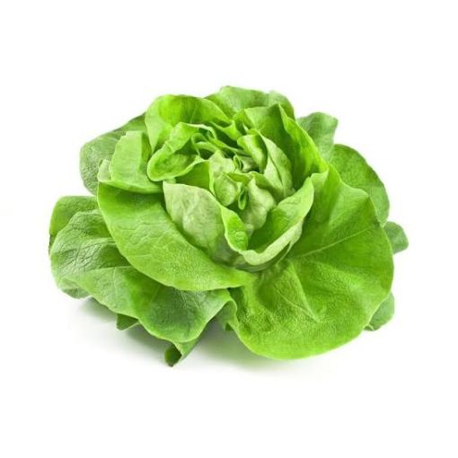Xà Lách Búp Mỡ 1kg Tươi Ngon, Giàu Dinh Dưỡng
