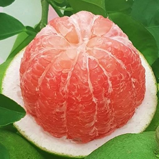 Bưởi Da Xanh Hữu Cơ 1kg - Ảnh 2