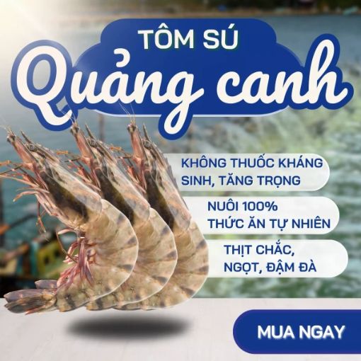 Tôm Sú Quảng Canh Size 18/kg (1kg) - Ảnh 3