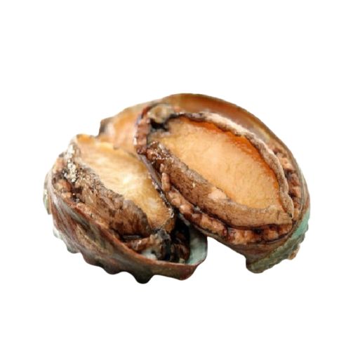 Bào Ngư NC Hải Nam 1kg 12 con - Ảnh 3