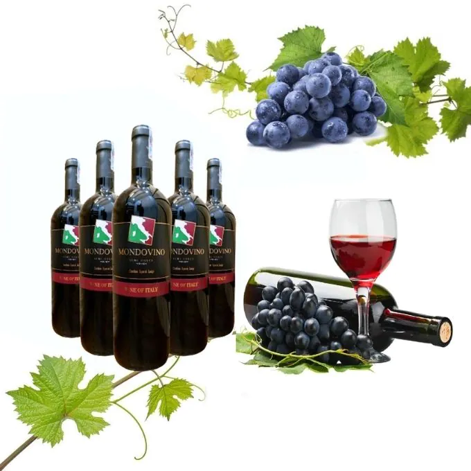 Mondovino Rosso & Semi Dolce: Sự Lựa Chọn Hảo Hạng Từ Ý - Ảnh 5